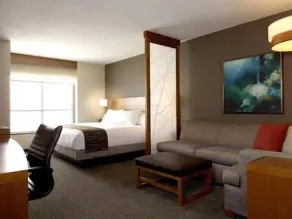 Hyatt Place Detroit/Novi - Chambre