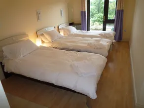 The Grove Lodge Guesthouse - Room