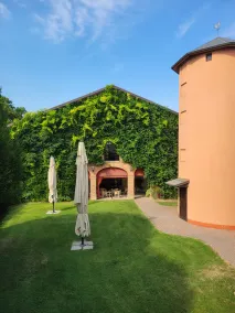 Agriturismo La Lupa - Vue de la chambre