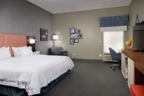 Hampton Inn Niagara Falls - Chambre