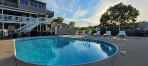 Green Dolphin - Piscine