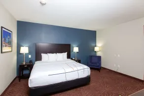 La Quinta by Wyndham Houston East at Normandy - Værelse