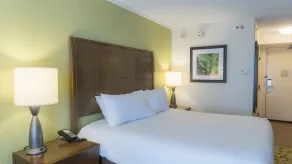 Hilton Garden Inn Plymouth - Chambre