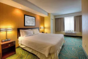 SpringHill Suites by Marriott - Tampa Brandon - Habitación