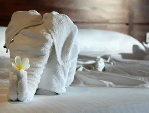 Hideaway Lodge - Camera