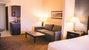 Holiday Inn Express & Suites Morton Peoria Area by IHG - Camera