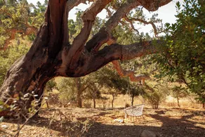 Herdade da Maceira  - Vue de la chambre