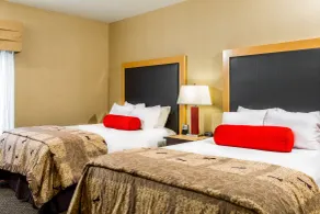 Cambria Hotel Akron - Canton Airport - Chambre