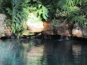 Bancroft B&B - Pool