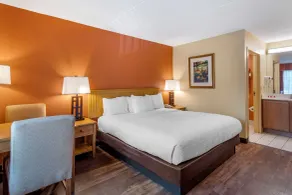 Econo Lodge Pigeon Forge Riverside - Chambre