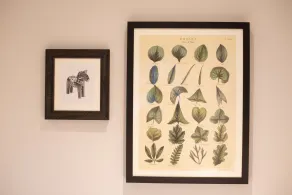 Albert Arms - Room