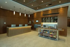 Hilton Garden Inn Istanbul Pendik - Reception