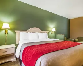 Quality Inn Columbia I-65 - Chambre