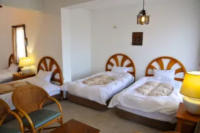 Tateyama Resort Hotel - Chambre
