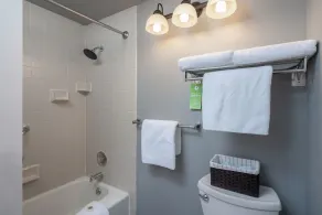 Tamarack Lodge Sun Valley - Salle de bain
