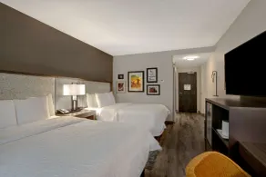 Hampton Inn & Suites by Hilton San Antonio Riverwalk  - Chambre
