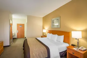 Quality Inn & Suites MidAmerica Industrial Park Area - Room