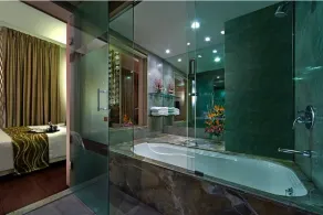 Hotel Supreme Heritage - Baño