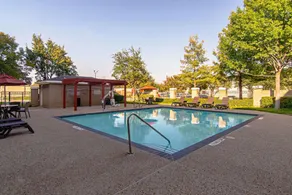 Comfort Suites NW Dallas Near Love Field - Pool