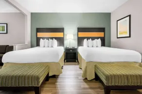 Best Western Executive Suites - Chambre
