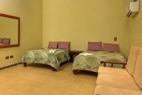 Hotel Loft Pacifico - Room