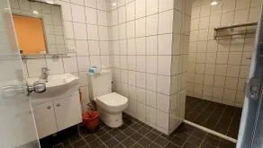 Xitou Tianpin Homestay - Bathroom