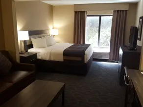 Comfort Suites Alpharetta-Roswell - Atlanta Area - Chambre