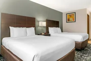 Quality Inn Grand Rapids South-Byron Center - Chambre