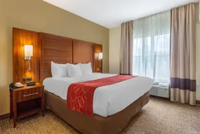 Comfort Suites Southaven - Memphis South - Chambre