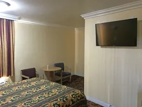 Satellite Motel, Los Angeles - LAX - Room