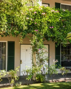 Lavender Inn by the Sea - Chambre