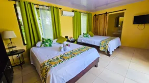 Confort Arenal - Room