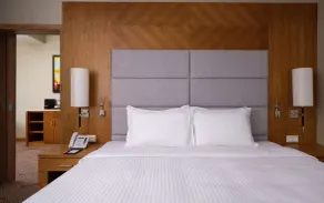 DoubleTree by Hilton Almaty - Room