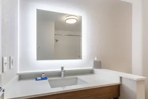 Holiday Inn Express & Suites - Florence - Cincinnati Airport by IHG - Salle de bain