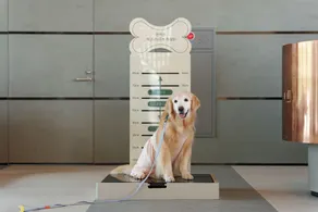 Kinock - Réception