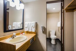 Baymont by Wyndham Appleton - Salle de bain
