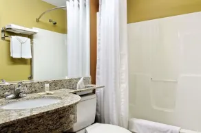 Microtel Inn & Suites by Wyndham Marietta - Salle de bain