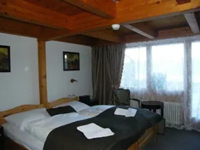 Bellevue-Bären - Room