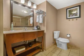Best Western St. Francisville Hotel - Badrum