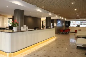 Hotel Domenichino - Reception