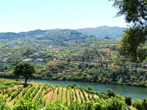 Douro Palace Hotel Resort & SPA - Udsigt fra værelset