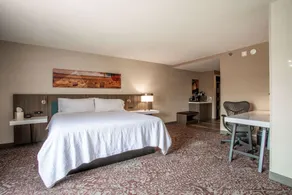 Hilton Garden Inn Mankato Downtown - Chambre