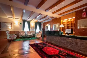 Hotel Vilagaros Apartamentos - Réception
