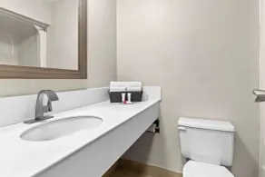 Red Lion Inn & Suites Pontoon Beach - Baño