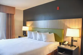 Country Inn & Suites by Radisson, Bloomington-Normal West, IL - Chambre