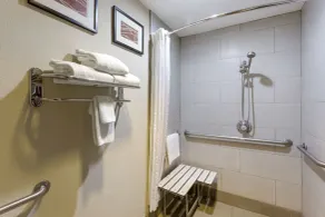 Comfort Inn & Suites Woods Cross - Salt Lake City North - Salle de bain