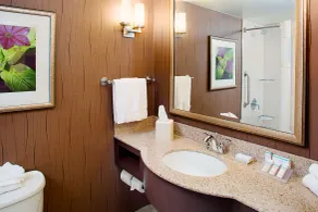 Hilton Garden Inn Hartford North/Bradley Int'l Airport - Salle de bain