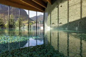Hôtel Cailler & Bains de la Gruyère - Piscine