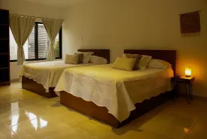 Stay Tropical - Room