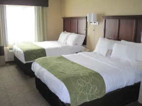 Comfort Suites Columbia - University Area - Vue de la chambre